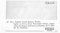 Puccinia caricis image